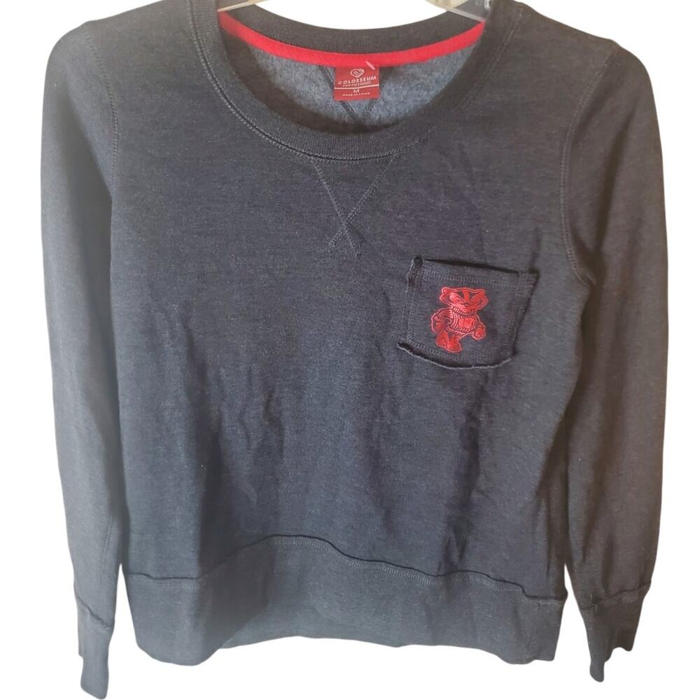 Colosseum Wisconsin Badgers Charcoal Gray Sweatshirt, NWOT, Med